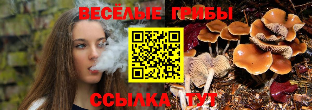 Янаул  Галлюциногенные грибы Magic Shrooms  Вход с VPN 